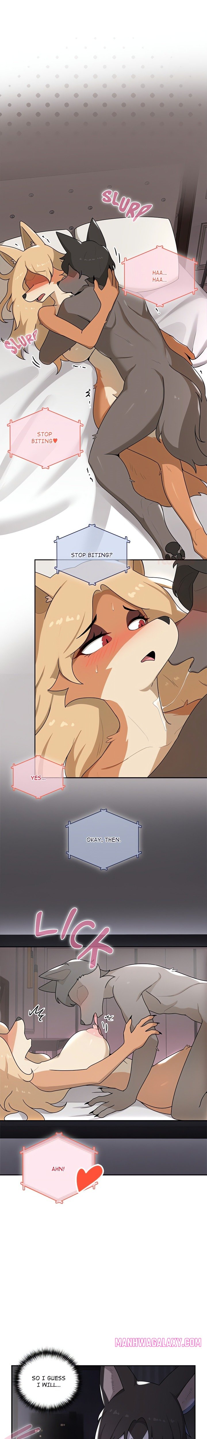 Paws on Campus - Chapter 4 Page 1