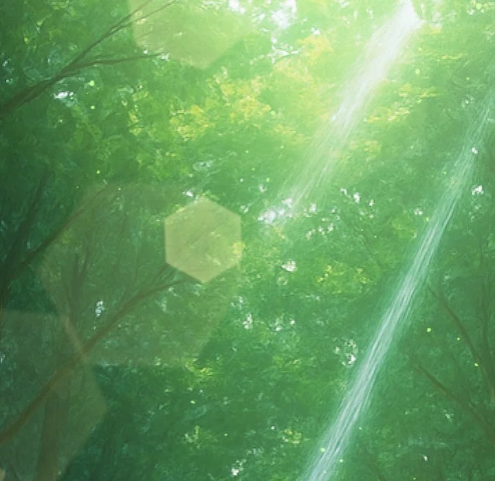 My High School Bully - Chapter 266 Page 42